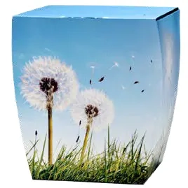 Urnes Biodégrables Champètre Urnes Biodégrables Champètre